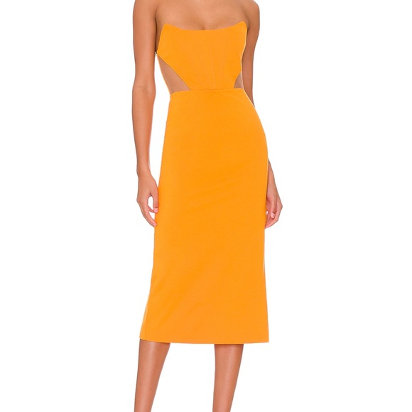 NWT Brand new Leighton midi dress in gorgeous clementine with mesh. - Picture 1 of 5